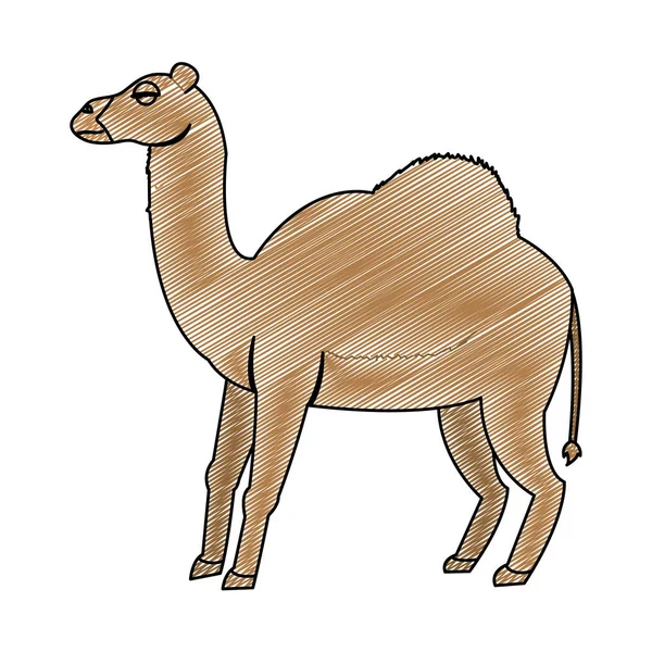 Şirin Doğa Dromedary Çöl Hayvan Vektör Çizim Doodle — Stok Vektör