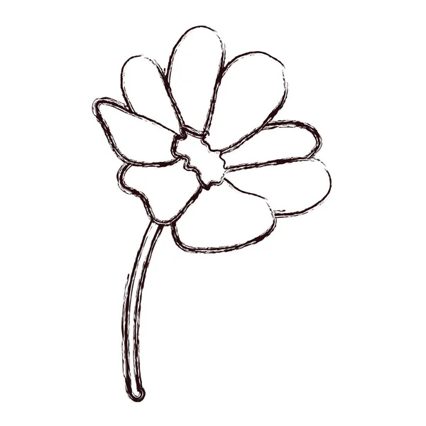 Grunge Ομορφιά Λουλούδια Πέταλα Και Αφήνει Εικονογράφηση Διάνυσμα — Διανυσματικό Αρχείο