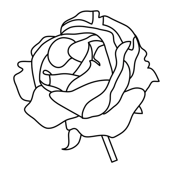 Línea Hermosa Planta Rosa Con Naturaleza Pétalos Vector Ilustración — Archivo Imágenes Vectoriales