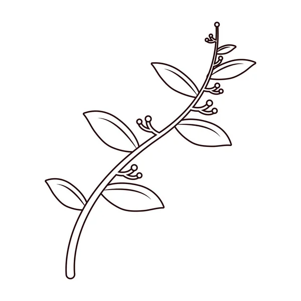 Line Art Lämnar Med Blommor Växt Gren Vektorillustration — Stock vektor