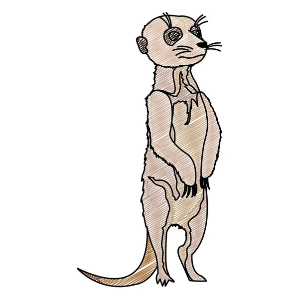 Doodle Bonito Selvagem Meerkat Animal Deserto Vetor Ilustração — Vetor de Stock
