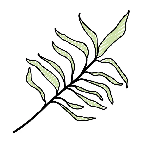 Doodle Natur Gren Lämnar Exotiska Växter Vektorillustration — Stock vektor