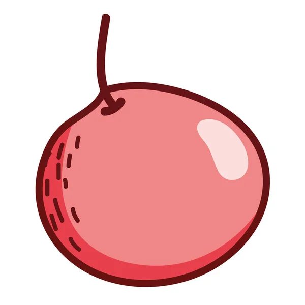 Смачне Яблуко Фрукти Органічний Вітамін Векторні Ілюстрації — стоковий вектор