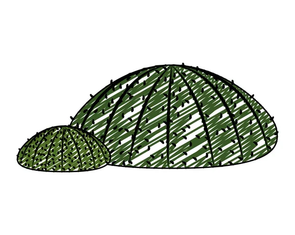 Doğa Kaktüs Tropikal Bitki Çöl Vektör Çizim Içinde Doodle — Stok Vektör