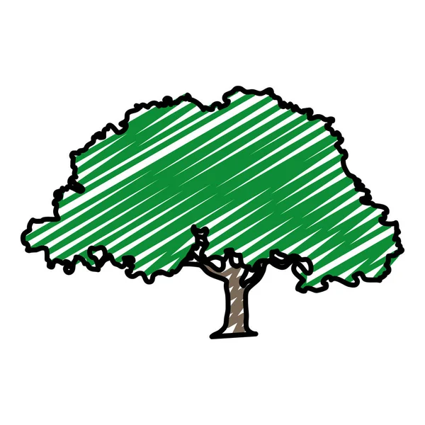 Doodle Árvore Natural Com Talo Ramos Folhas Vetor Ilustração — Vetor de Stock