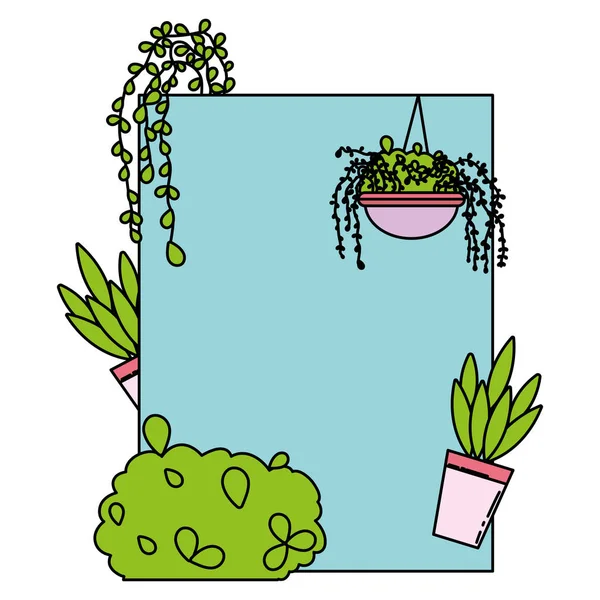 Diseño Emblema Color Con Plantas Exóticas Narure Vector Ilustración — Archivo Imágenes Vectoriales
