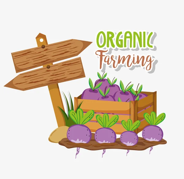 Organic farming and farm fresh cute cartoons vector illustration graphic design