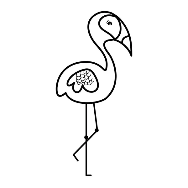 Line Exotic Flamingo Tropical Bird Animal Vector Illustration — Stock Vector