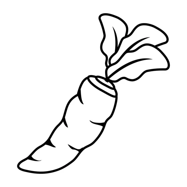Лінія Натуральної Моркви Органічна Рослинна Їжа Векторні Ілюстрації — стоковий вектор