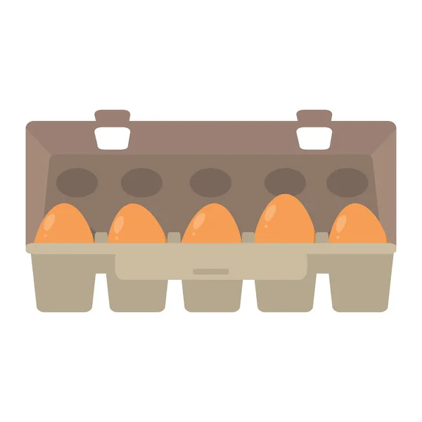 Healthy Eggs Protein Breakfast Nutrition Vector Illustration — Stock Vector