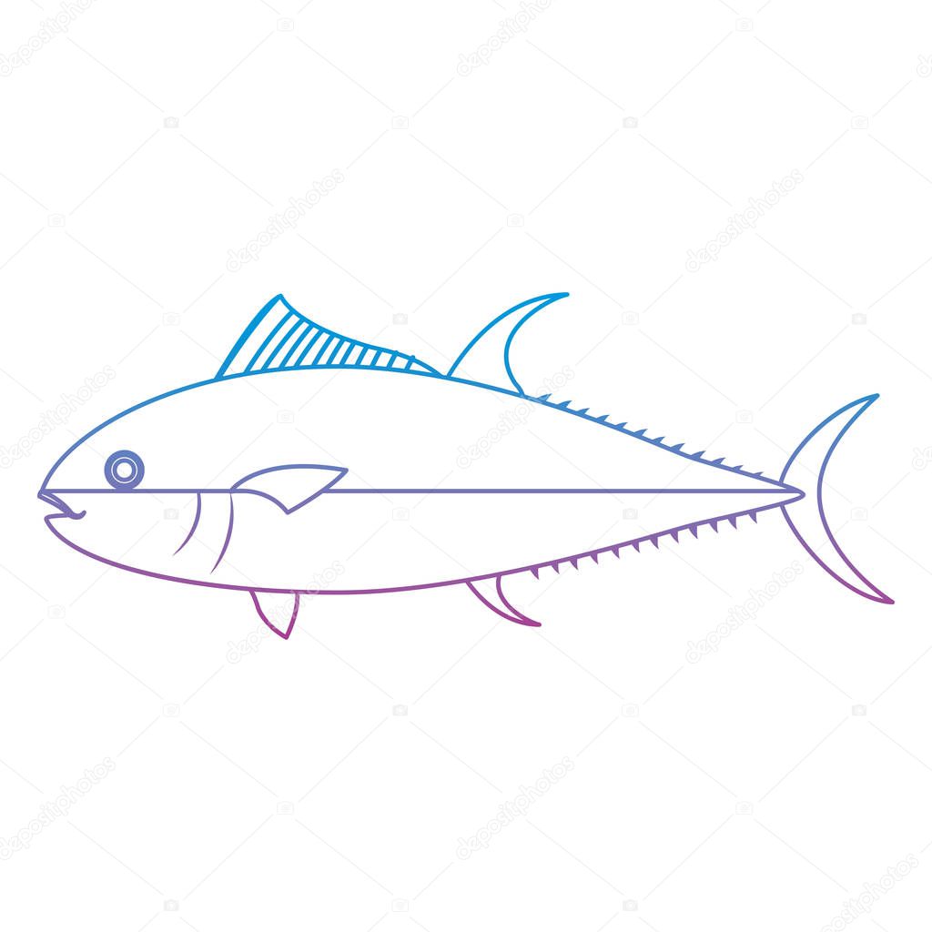 degraded line fish healthy sea food prepared vector illustration