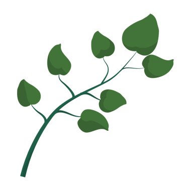 doğal egzotik şube tasarlamak vektör yaprak