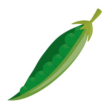 Organik bezelye doğal sebze gıda vektör çizim
