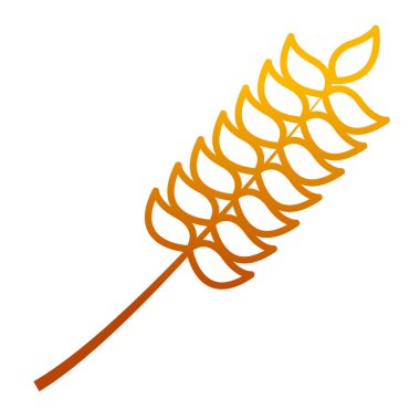 bozulmuş hattı tarım buğday bitki ile tahıl vektör çizim bırakır.