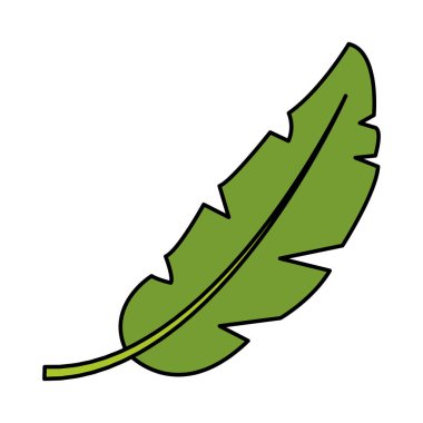 renk doğal yaprak botanik egzotik tarzı vektör çizim