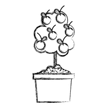 Grunge portakal ağacı yaprakları ve saksı vektör çizim içinde takip