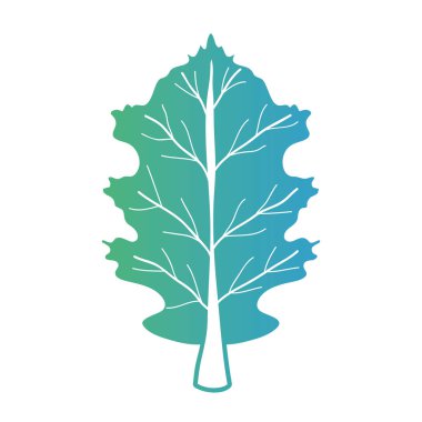 satır tropikal yaprak egzotik ve doğal tasarlamak vektör için