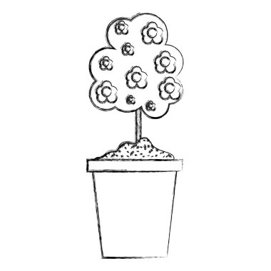 Grunge ile sap içinde plantpot vektör çizim çiçek ağaç doğa