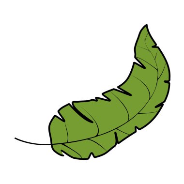 renk Botanik ve egzotik yaprak doğal stil vektör çizim
