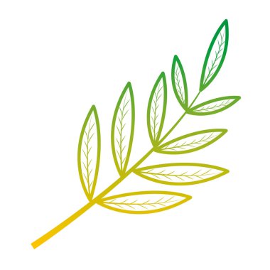 bozulmuş hattı doğa bitki dal yaprak tasarım vektör çizim ile