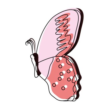 renk güzellik kelebek böcek kanatları dekorasyon vektör çizim ile taşındı