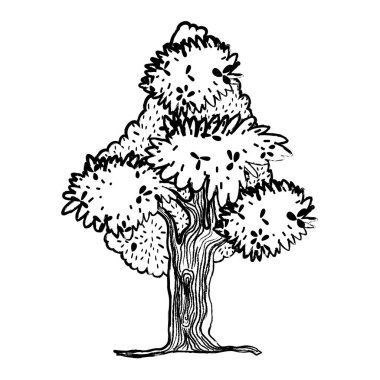 Grunge egzotik ağaç doğa dalları ile vektör çizim yaprak