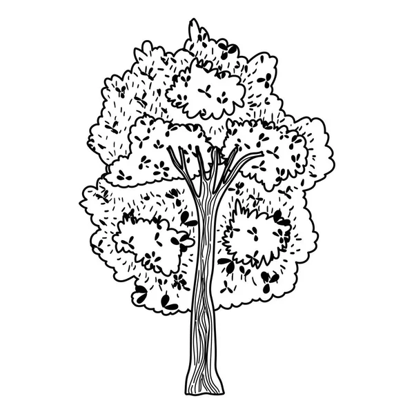 Ligne Arbre Exotique Avec Branches Feuilles Style Illustration Vectorielle — Image vectorielle