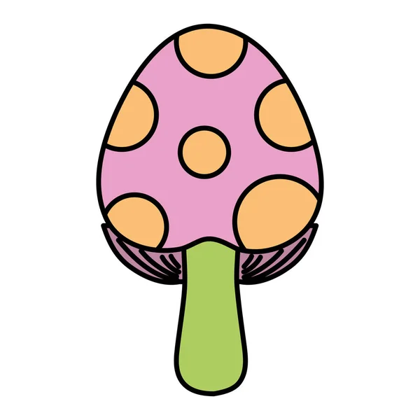 Illustration Vectorielle Végétale Végétale Biologique Couleur Champignon Naturel — Image vectorielle