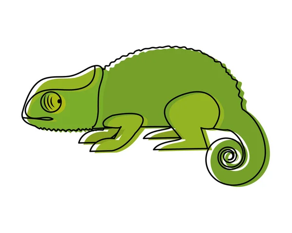 Moved Color Nature Chameleon Animal Exotic Skin Vector Illustration — Stock Vector