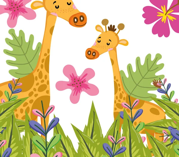 Cute giraffes wildlife animals vector illustration graphic design