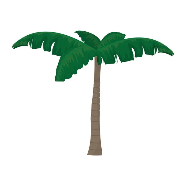 Natuur Palmboom Met Verlaat Ontwerp Vectorillustratie — Stockvector