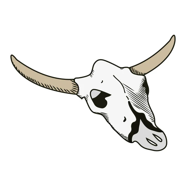 Nature Buffalo Desert Dead Skull Vector Illustration — Stock Vector