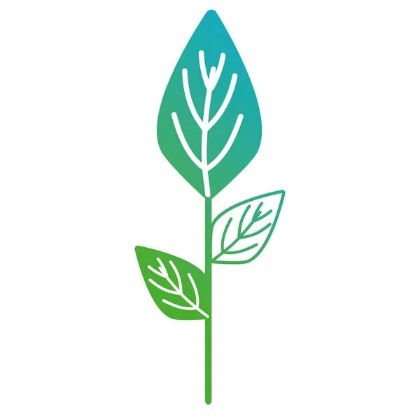 生態学的性質のベクトル図の葉を持つ行植物 — ストックベクタ