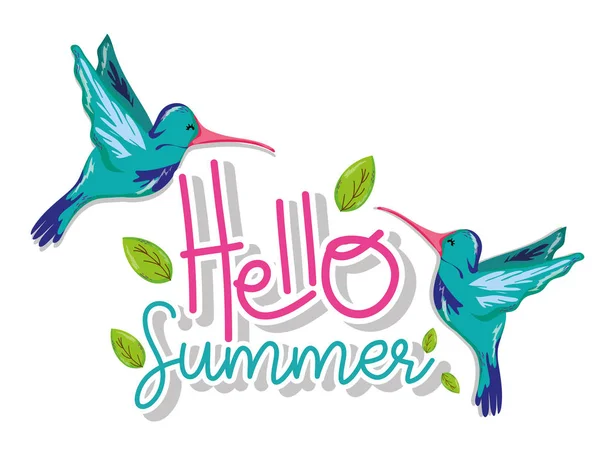 Hello summer card with exotic birds flying vector illustration graphic design