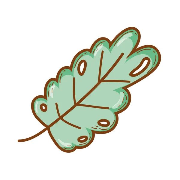 Cute Nature Exotic Leaf Design Vector Illustration — Stock Vector