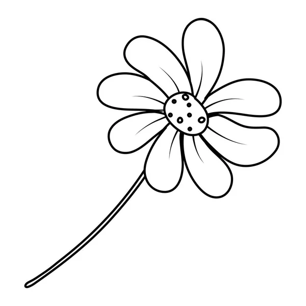 Лінія Природного Квіткового Стилю Рослин Векторні Ілюстрації — стоковий вектор