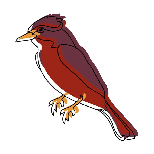 Verplaatste Kleur Schattig Noordelijke Kardinaal Vogel Dierlijke Vectorillustratie — Stockvector