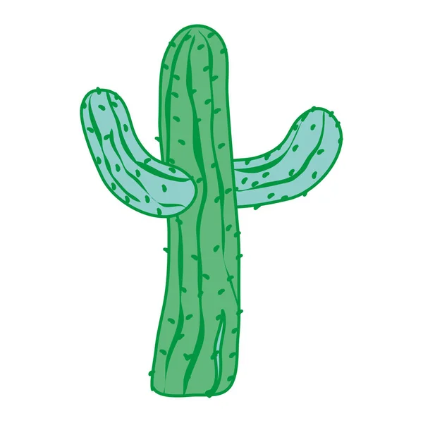 Duo Colore Tropicale Cactus Pianta Natura Nel Deserto Vettore Illustrazione — Vettoriale Stock