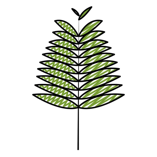 Doodle Εξωτικά Κλαδί Φύλλα Φυσικό Σχεδιασμό Εικονογράφηση Διάνυσμα — Διανυσματικό Αρχείο