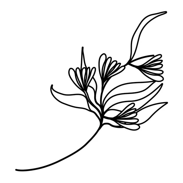 Linie Exotických Rostlin Tropické Květiny Styl Vektorové Ilustrace — Stockový vektor
