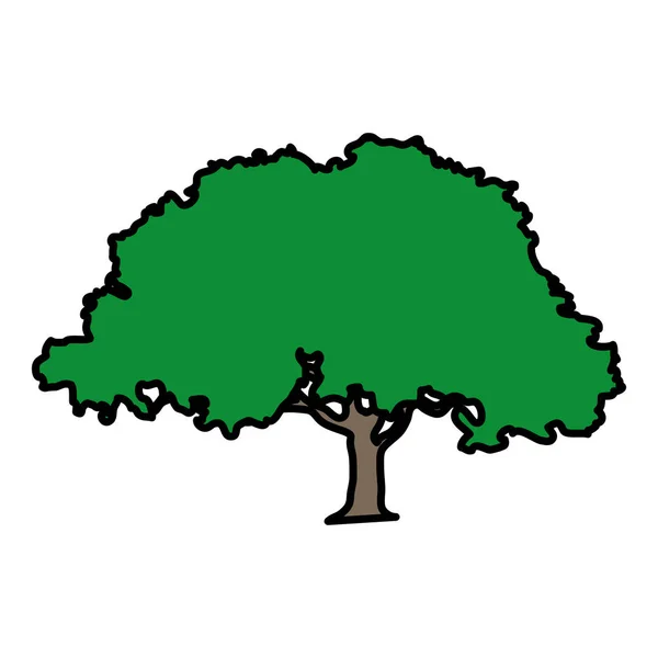 Color Árbol Natural Con Tallo Ramas Hojas Vector Ilustración — Archivo Imágenes Vectoriales