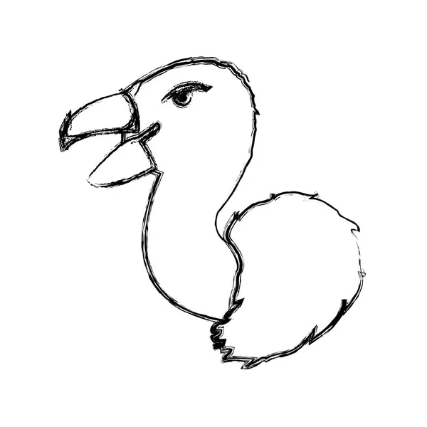 Grunge Selvatico Avvoltoio Testa Predatore Animale Vettore Illustrazione — Vettoriale Stock