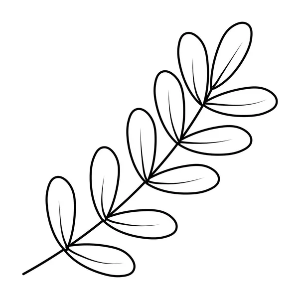 Ligne Branches Exotiques Feuilles Plantes Naturelles Vecteur Illustration — Image vectorielle