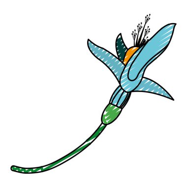 Doğa Çiçek tropikal bitki dekorasyon vektör çizim doodle