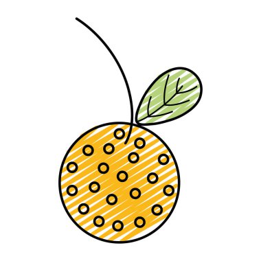 turuncu lezzetli organik turuncu meyve yaprak vektör çizim ile