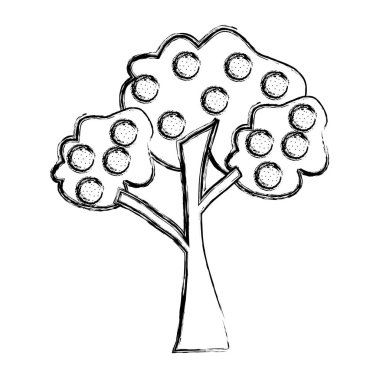 Grunge doğal ağaç lezzetli portakal meyve vektör çizim ile