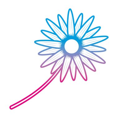 bozulmuş satır güzellik ayçiçeği bitki doğa yaprakları vektör çizim ile