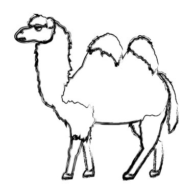 Grunge şirin doğa deve çöl hayvan vektör çizim