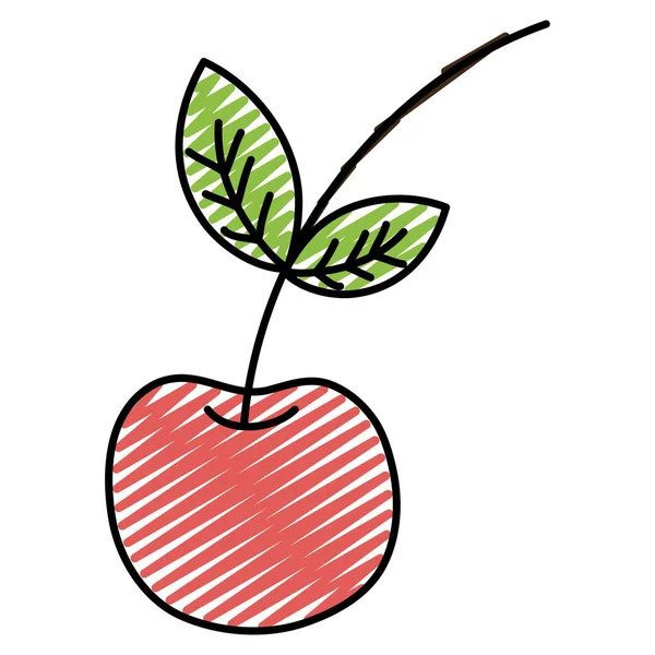 Garabato Fresco Delicioso Fruta Cereza Nutrición Vector Ilustración — Vector de stock