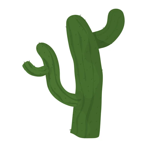 Kaktus Växt Natur Design Öknen Vektorillustration — Stock vektor